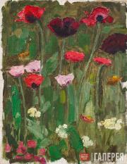 Vasnetsov Viktor. Poppies. 1916. Study