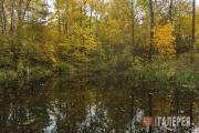 The Petrovsky pond on the estate. 2018