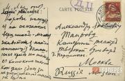 Postcard. [Cows]